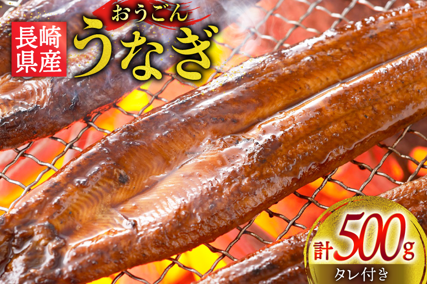 うなぎ 国産 蒲焼 長崎県産 おうごんうなぎ 約500g 1尾〜4尾 [松永水産 長崎県 平戸市 hr42bgy400222] 鰻 うな重 うな丼 ひつまぶし 蒲焼き かばやき タレ付き 養殖 国内産 1尾 4尾 冷凍 unagi