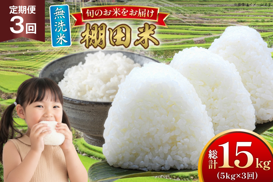 米 令和7年 無洗米 棚田米 5kg 3回 定期便 総計15kg [ひらど新鮮市場 長崎県 平戸市 hr42bgy400193] 令和7年産 コメ こめ ごはん ご飯 白米 精米
