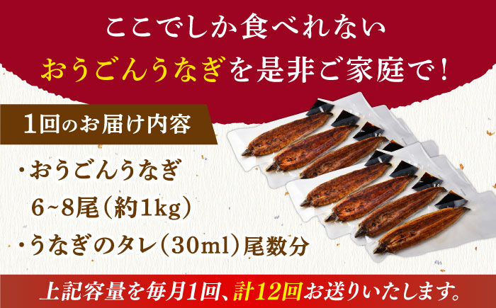 【全12回定期便】【着日指定 可能】【日本初！海水で養殖】長崎県産おうごん うなぎ 松セット 約1kg（6尾〜8尾） 平戸市 / 松永水産 うなぎ 鰻 ウナギ 土用丑の日 九州産 蒲焼 かばやき [KAB287]