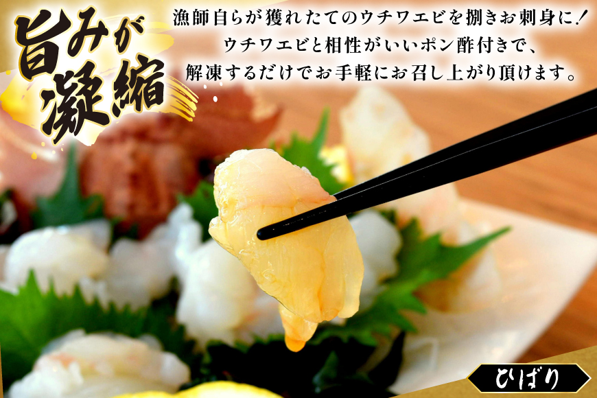 うちわえび エビ 海老 国産 刺し身 冷凍 ウチワエビ 刺身 約170g (ポン酢付) [ひばり 長崎県 平戸市 hr42bgy420060] 魚介 海鮮 海産物 セット 真空 真空パック お取り寄せ