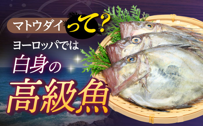 マトウダイ フライ 約500g(250g×2)【ひばり】[KAA063]/ 長崎 平戸 惣菜 魚介類 魚 高級 馬頭鯛 白身魚 フライ 小分け