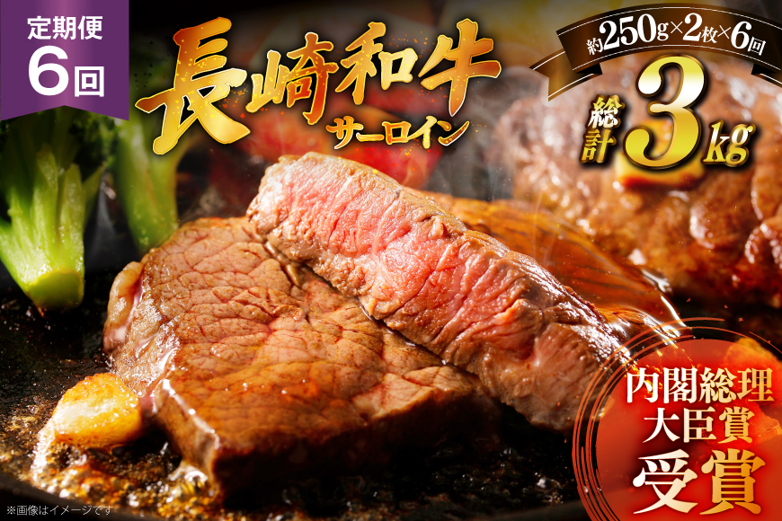 和牛 ステーキ 長崎和牛 サーロイン 250g 2枚 ソース付き 6回 定期便 計3kg [萩原食肉産業 長崎県 平戸市 hr42bgy410032] 肉 牛肉 焼肉 にく 平戸 希少 鉄板焼き