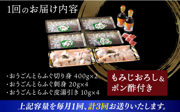 【全3回定期便】【着日指定 可能】活〆おうごんとらふぐ プレミアムセット（4人前）平戸市 / 松永水産 [KAB273]