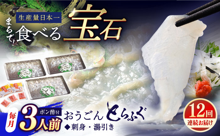 【全12回定期便】【着日指定 可能】活〆おうごんとらふぐ 刺身 セット（3人前） 平戸市 / 松永水産 [KAB278]