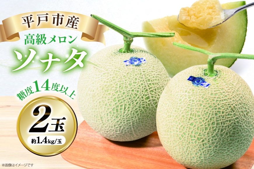 【先行予約】 メロン 2026 ネットメロン ソナタ 2玉 約1.4kg/玉 [ひらど新鮮市場 長崎県 平戸市 hr42bgy400040] めろん 甘い 果物 フルーツ 産地直送 糖度 追熟 国産 くだもの