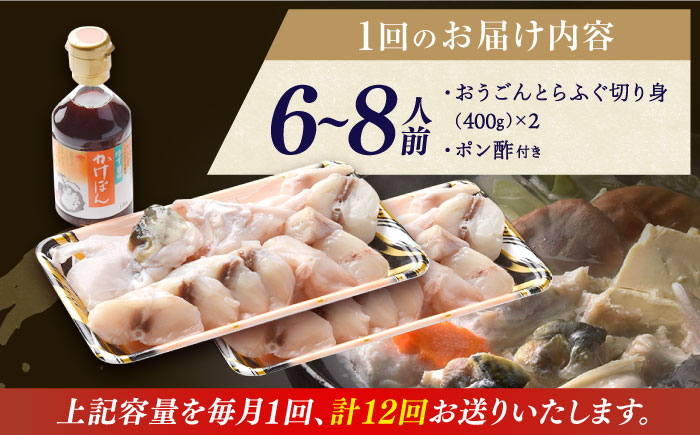 【全12回定期便】【着日指定 可能】活〆おうごんとらふぐ 満腹 鍋セット 平戸市 / 松永水産 [KAB284]