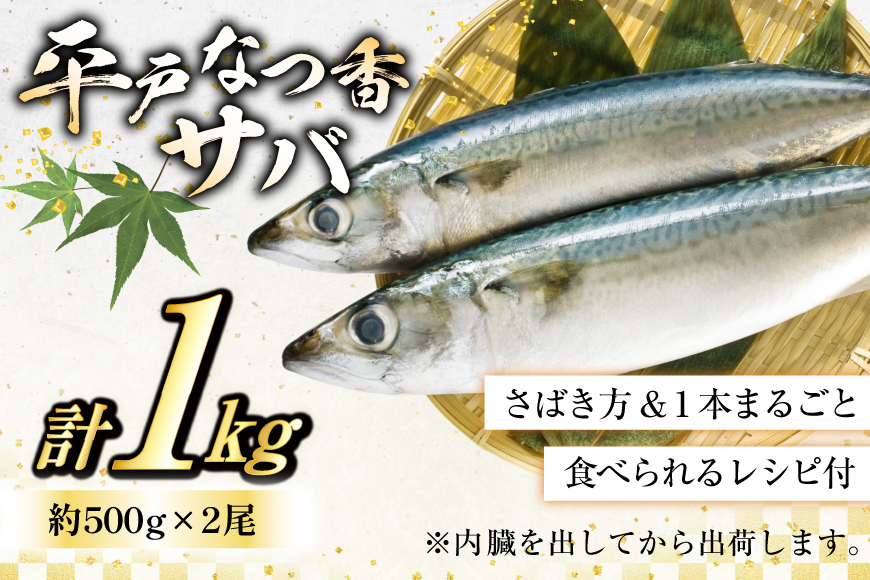 鯖 刺身 平戸なつ香 サバ 約500g 2尾 [（株）坂野水産 長崎県 平戸市 hr42bgy420201] さば 魚介 さかな 刺身用 さしみ 冷蔵 おかず フルーツ魚  夏香 なつ香 鮮魚 海鮮 鍋 海鮮丼 しめさば おかず 簡単調理 下処理済