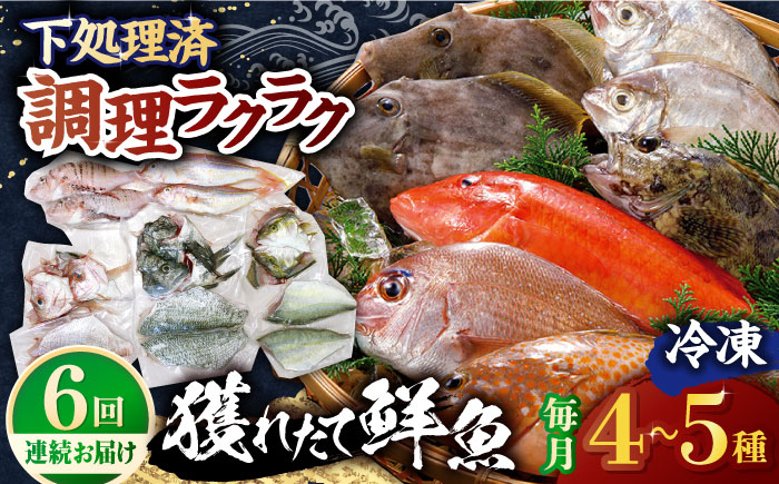 【全6回定期便】【平戸市場直送】旬の獲れたて鮮魚（冷凍）＜4〜5種類＞ 平戸市 / ひらど新鮮市場 [KAB229]