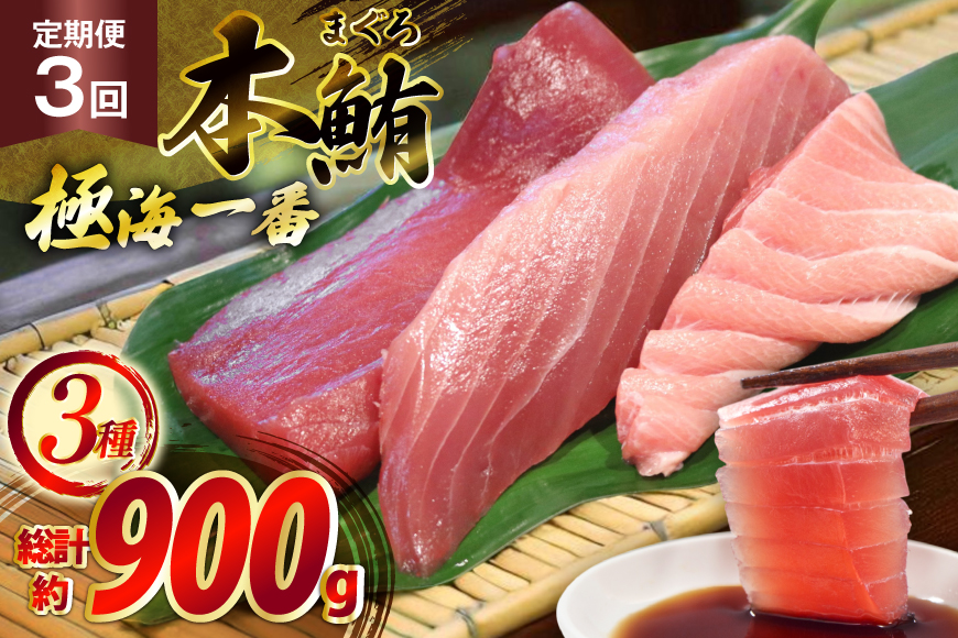 マグロ 切り身 極海一番 3種 セット 300g 3回 定期便 総計900g 詰め合わせ 食べ比べ [囲炉裏料理エビス亭 長崎県 平戸市 hr42bgy390027] まぐろ 刺身 料亭 赤身 中とろ 大トロ 柵 おつまみ 冷凍 高級 寿司 すし