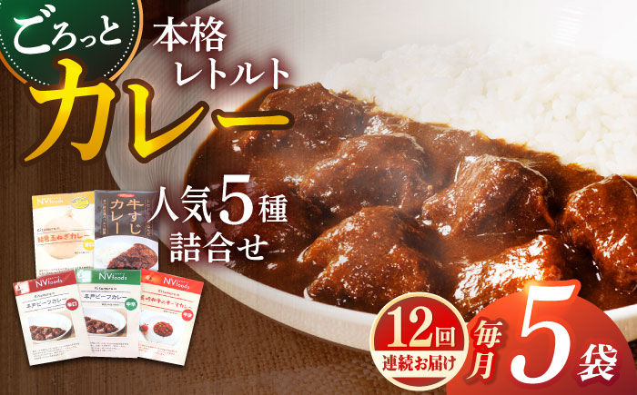 【全12回定期便】【カレー好きの為のアソートセット】カレー工房NVfoodsのカレー5種詰め合わせセット [KAB293]