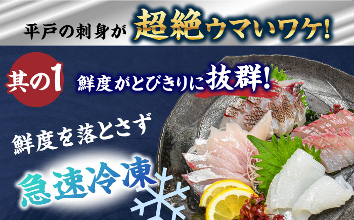 【全3回定期便】 獲れたて 旬魚 の柵 3種 セット（ 刺身 2種＆ イカ 1種）（4〜5人前）【平戸市/舘浦漁業協同組合】 [KAA518]