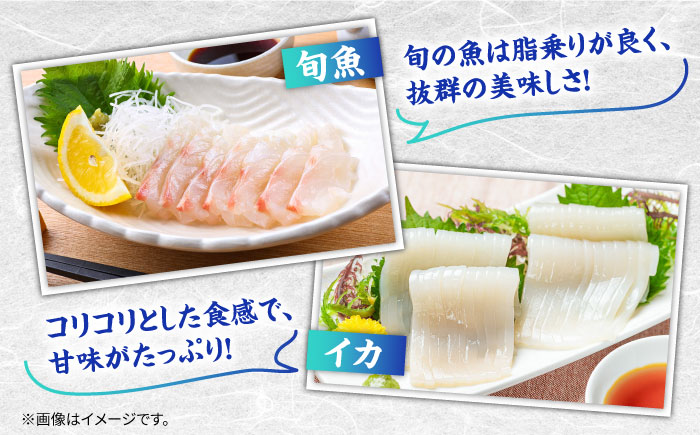 【全3回定期便】 獲れたて 旬魚 の柵 3種 セット（ 刺身 2種＆ イカ 1種）（4〜5人前）【平戸市/舘浦漁業協同組合】 [KAA518]