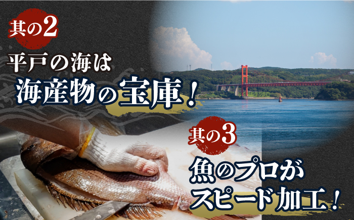 ＜4月発送＞旬魚のお刺身セット約300g (100g×3p)【ひらど新鮮市場】[KAB008]/ 長崎 平戸 魚介類 魚 刺身 ブリ刺身 タイ刺身 ヒラス刺身 アオリイカ刺身 ヤリイカ刺身 イカ刺身 タコ刺身 小分け