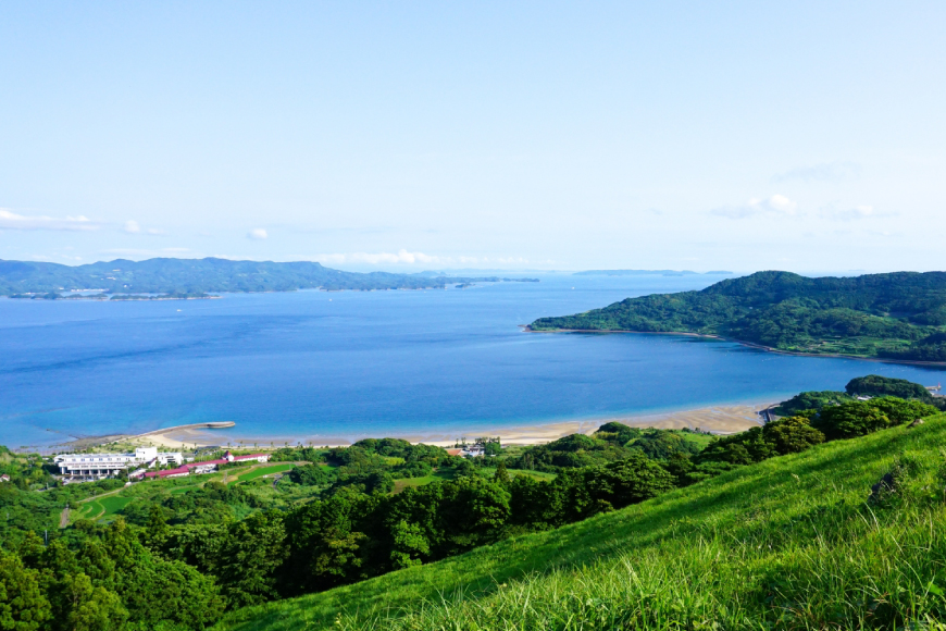 刺身 ヒラマサ 平戸なつ香 ヒラス 丸々 1匹 約4kg 3枚おろし アラ付き セット [坂野水産 長崎県 平戸市 hr42bgy420502] 魚介 さかな お刺身 刺身用 さしみ 冷蔵 下処理済 レシピ付き おかず フルーツ魚 夏香 鮮魚 海鮮 鍋 海鮮丼 生食 生食用