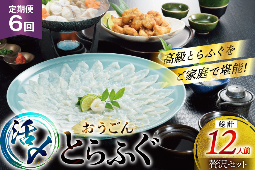 ふぐ 刺身 ふぐ鍋セット 活〆 おうごんとらふぐ 贅沢セット 2人前 6回 定期便 [松永水産 長崎県 平戸市 hr42bgy400071] ふぐ刺し とらふぐ フグ 河豚 てっさ てっちり ふぐ鍋 湯引き 魚介 さかな お刺身 刺身用 さしみ 冷凍 海鮮