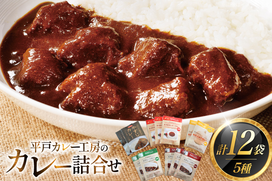カレー セット カレー 5種 計12袋 セット [カレー工房NVfoods 長崎県 平戸市 hr42bgy400060] カレー スパイス レトルト セット 詰め合わせ 食べ比べ