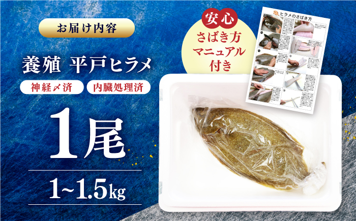 【陸上養殖】【内臓処理済】神経〆平戸ヒラメ1尾 1~1.5kg 平戸市/イワミ水産 [KAB316]