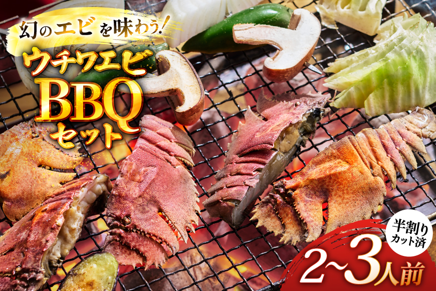 バーベキュー 海鮮 ウチワエビ BBQ セット 安心の地元 野菜付 2〜3人前 [ひらど新鮮市場 長崎県 平戸市 hr42bgy400174] バーベキューセット BBQセット 魚介 エビ 海老 えび 海鮮バーベキュー 海鮮BBQ