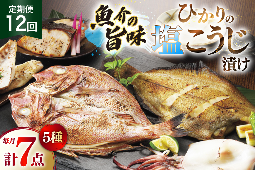 漬け魚 漬魚 塩麹 塩こうじ 魚介 詰め合わせ 12回 定期便 ひかりの塩麹 5種 セット [ひかり 長崎県 平戸市 hr42bgy420400] お茶漬け 焼き魚 焼魚 鯛 鯛めし ヤリイカ 海鮮 漬け づけ 漬け丼 鮮魚 お取り寄せ ギフト 魚 切り身 冷凍 真空 真空パック 個包装 小分け お取り寄せ
