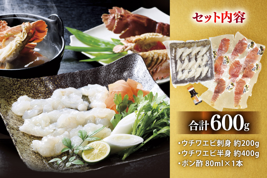 うちわえび エビ 海老 刺身 しゃぶしゃぶ 海鮮 ウチワエビ刺身 約200g・ウチワエビ半身 約400g セット 総計600g [ひばり 長崎県 平戸市 hr42bgy420035] 鍋 魚介 海産物 刺し身 冷凍 新鮮 国産 お取り寄せ