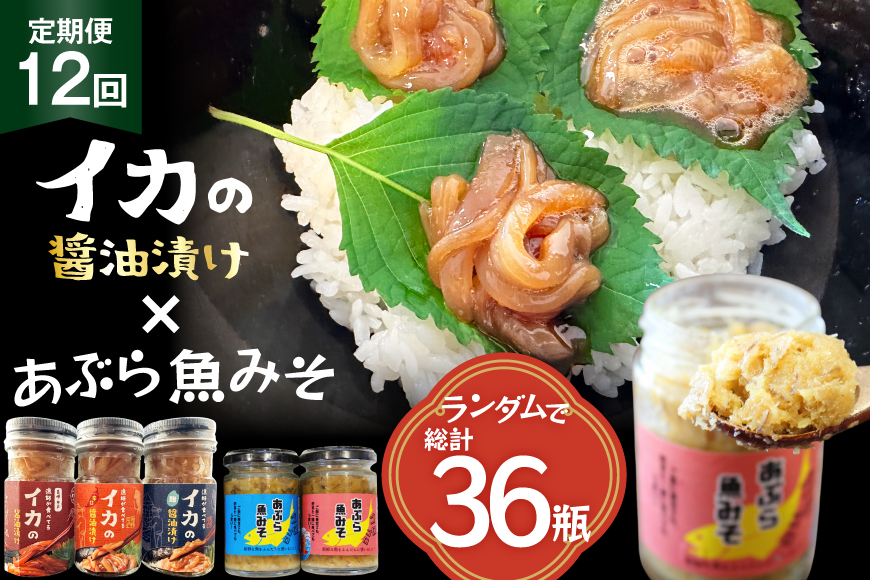 ご飯のお供 あぶらみそ イカ 醤油漬け 3本 ランダムでお届け 12回 定期便 総計36本 [康貴丸水産 長崎県 平戸市 hr42bgy400206] お取り寄せ おにぎり おかず 具材 油味噌 魚 さかな 塩辛
