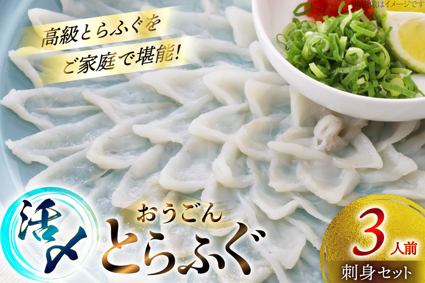 ふぐ 刺身 セット 活〆 おうごんとらふぐ 刺身セット 3人前 [松永水産 長崎県 平戸市 hr42bgy400156] ふぐ刺し とらふぐ フグ 河豚 てっさ 魚介 さかな お刺身 刺身用 さしみ 冷凍 湯引き 海鮮 切り身