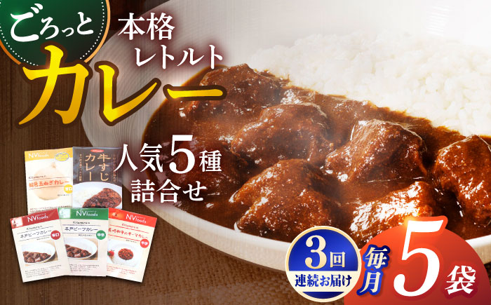 【全3回定期便】【カレー好きの為のアソートセット】カレー工房NVfoodsのカレー5種詰め合わせセット [KAB291]