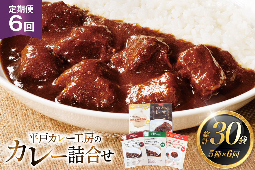 カレー セット カレー 5種 セット 6回 定期便 [カレー工房NVfoods 長崎県 平戸市 hr42bgy400099] カレー スパイス レトルト セット 詰め合わせ 食べ比べ