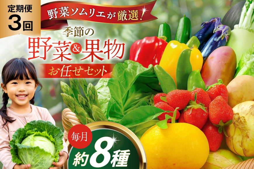 野菜 果物 ソムリエ厳選 地元野菜 果物 3回 定期便 [ひらど新鮮市場 長崎県 平戸市 hr42bgy400197] やさい くだもの フルーツ
