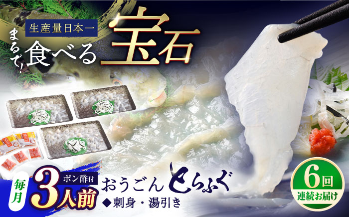 【全6回定期便】【着日指定 可能】活〆おうごんとらふぐ 刺身 セット（3人前） 平戸市 / 松永水産 [KAB277]