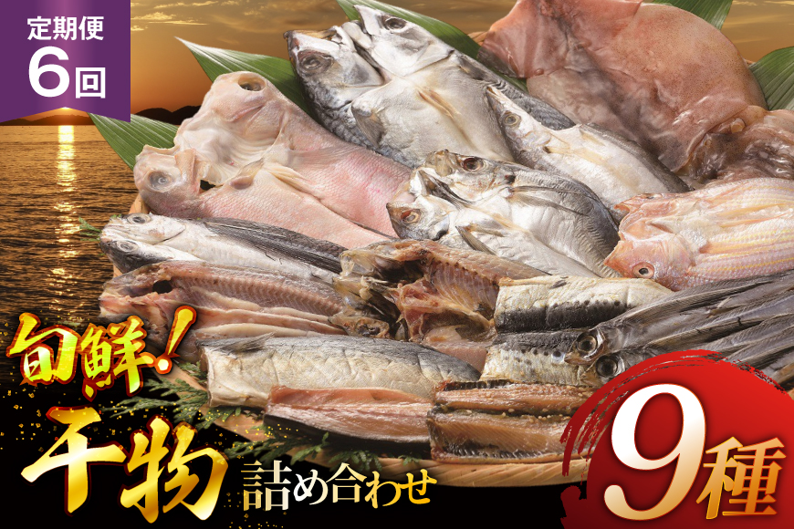 おつまみ イカ 旬魚 平戸 干物 9種 詰め合せ 定期便 6回 [森崎水産 長崎県 平戸市 hr42bgy410098] いか セット 詰合せ 干物 干物セット 一夜干し いかめし 冷凍 国産 ひもの 魚 定期 6ヶ月