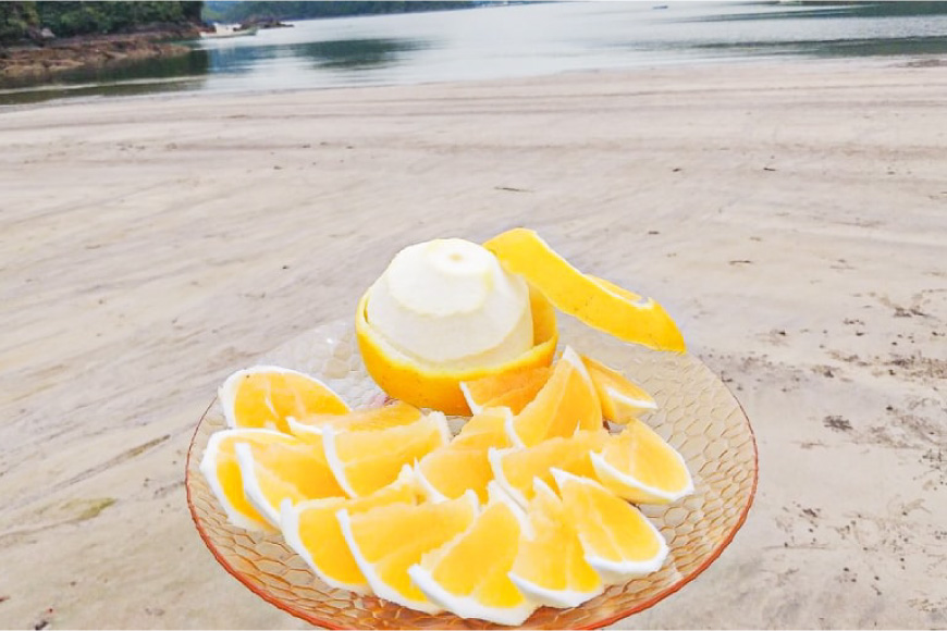 果物 オレンジ 果樹園からの贈り物 4種 セット [善果園 長崎県 平戸市 hr42bgy420171] みかん ジュース マーマレード ゆず茶