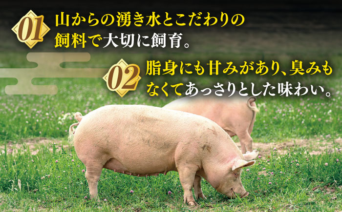 平戸島豚の生姜焼きセットー安心の地元野菜付ー【株式会社ひらど新鮮市場】[KAB016]/ 長崎 平戸 肉 豚肉 豚 肩ロース 生姜焼き セット キャベツ 玉ねぎ 人参 生姜 味噌  時短 