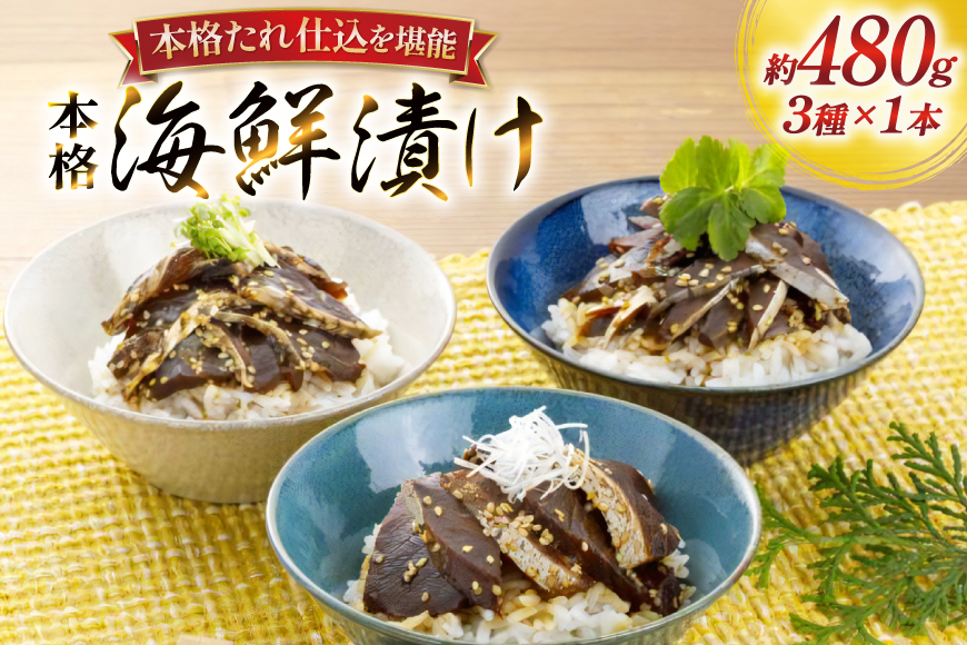 刺身 漬け丼 本格 海鮮漬け セット 160g 3本 計480g 詰め合わせ 食べ比べ [よかろ物産 長崎県 平戸市 hr42bgy420119] さしみ 漬け 冷凍 ご飯のお供 魚介 長崎 ぶり あじ たい 海鮮丼 お茶漬け
