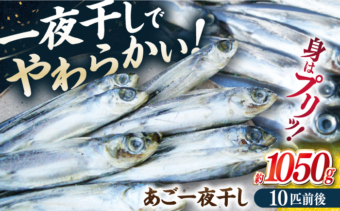 【口に広がる豊かな風味】あご一夜干し 約1050g（10匹前後）平戸市 / 森崎水産 [KAD307]