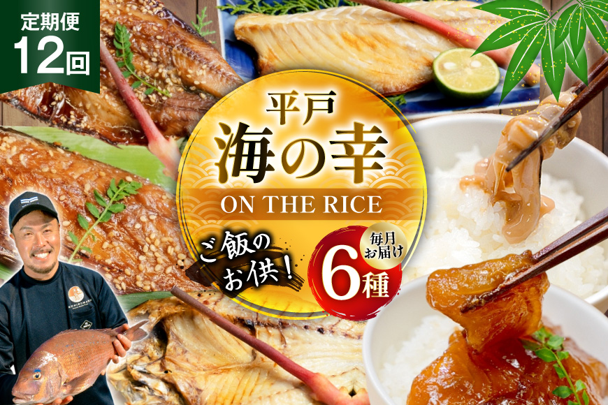 魚 干物 漬け 塩辛 ごはんのお供 塩干し みりん干し 漬け 塩辛 セット 12回 定期便 [末弘丸 長崎県 平戸市 hr42bgy420443] サバ アジ イワシ イリコ アゴ 平戸なつ香 塩干 みりん干 漬け いかの塩辛 無添加 ギフト