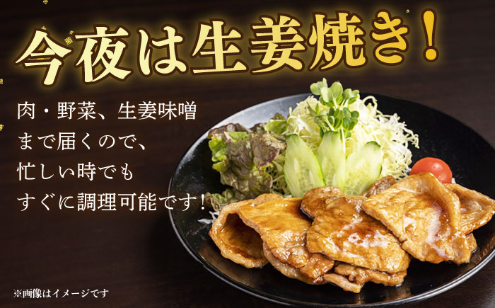 平戸島豚の生姜焼きセットー安心の地元野菜付ー【株式会社ひらど新鮮市場】[KAB016]/ 長崎 平戸 肉 豚肉 豚 肩ロース 生姜焼き セット キャベツ 玉ねぎ 人参 生姜 味噌  時短 