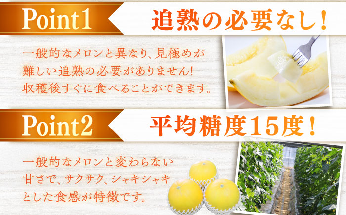 【先行予約】最高糖度15度で甘味たっぷり平戸産メロンイエローキング合計5kg前後3〜9玉【株式会社ひらど新鮮市場】[KAB200]