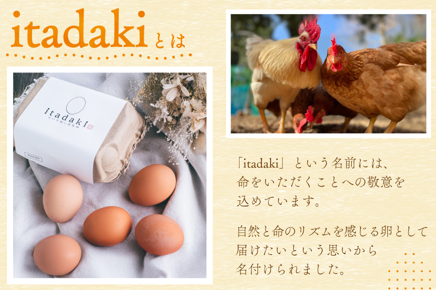 卵 平飼い たまご タマゴ 玉子 新鮮 6回 定期便 平飼い放牧卵「itadaki」4パック 24個／回  総計144個 [ナチュラルエッグラボ 長崎県 平戸市 hr42bgy420061] 6ヶ月 鶏卵 オーガニック 放し飼い お取り寄せ 人気
