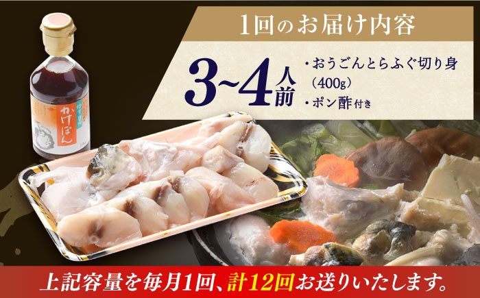 【全12回定期便】【着日指定 可能】活〆おうごんとらふぐ 鍋 セット 約400g 平戸市 / 松永水産 [KAB272]