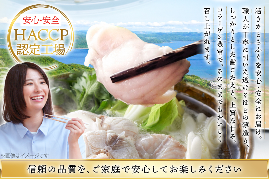 ふぐ 刺身 ふぐ鍋セット 活〆 おうごんとらふぐ プレミアム セット 4人前 [松永水産 長崎県 平戸市 hr42bgy400145] ふぐ刺し とらふぐ フグ 河豚 てっさ てっちり ふぐ鍋 湯引き 魚介 さかな お刺身 刺身用 さしみ 冷凍 海鮮