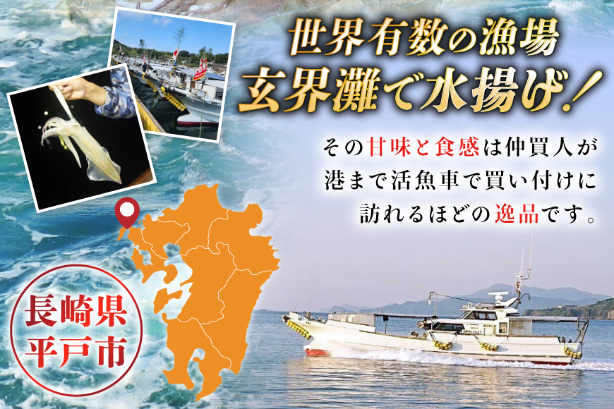 イカ 刺身 極鮮ヤリイカ 約500g [海隆丸 長崎県 平戸市 hr42bvk550000] ヤリイカ 新鮮 海鮮 魚介 瞬間冷凍 冷凍 コリコリ 直送 冷凍 個包装 真空パック