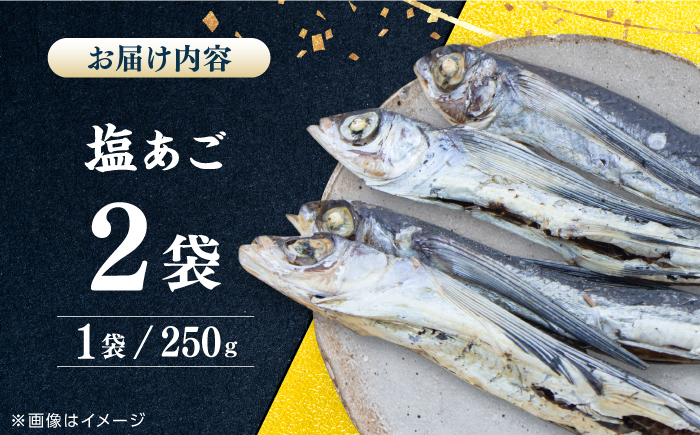 【お酒のお供に！】塩あご250g×2パック 平戸市 / 森崎水産 [KAD305]