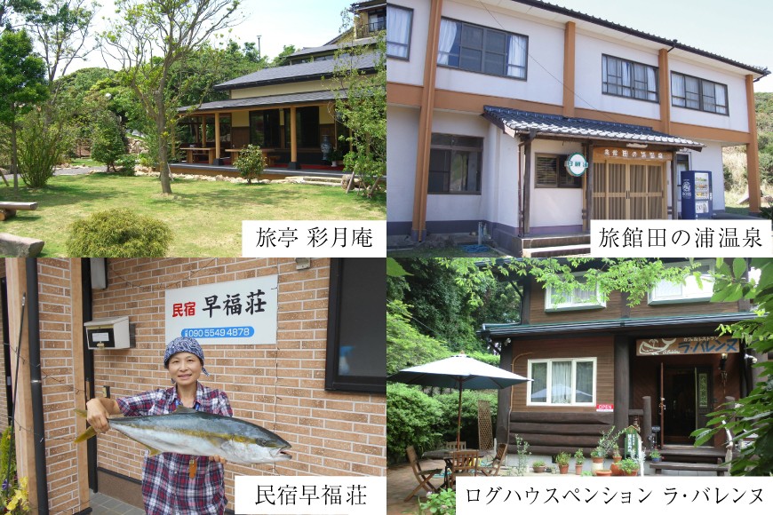 宿泊 クーポン 平戸 宿泊施設 で使える 割引券 6,000円分 [平戸観光交流センター 長崎県 平戸市 hr42bgy390024] 九州 国内旅行 ホテル 旅館 旅行 旅 6千円 分