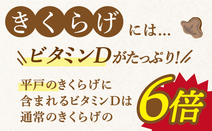 【全6回定期便】太った医者で社長の健康のためにも作ってる佐賀の人にはナイショのおいしすぎるきくらげ。【栄養たっぷり】平戸の乾燥きくらげ 約120g（30g×4袋）【KTX株式会社】 [KAJ003] [KAJ003]