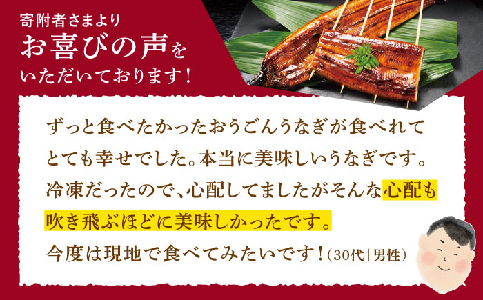 【全12回定期便】【着日指定 可能】【日本初！海水で養殖】長崎県産おうごん うなぎ 松セット 約1kg（6尾〜8尾） 平戸市 / 松永水産 うなぎ 鰻 ウナギ 土用丑の日 九州産 蒲焼 かばやき [KAB287]