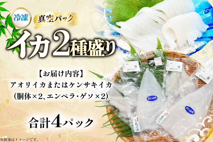 海鮮 魚介 イカ 2種盛り（胴体＋ エンペラ ・ ゲソ ） [舘浦漁協 長崎県 平戸市 hr42bgy420381] おつまみ 新鮮 刺身 下足 セット 盛り合わせ 瞬間冷凍 冷凍 コリコリ 直送 冷凍 個包装 真空パック