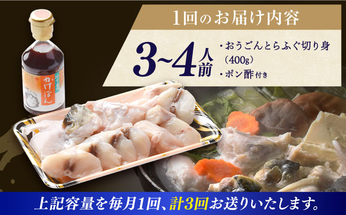 【全3回定期便】【着日指定 可能】活〆おうごんとらふぐ 鍋 セット 約400g 平戸市 / 松永水産 [KAB270]