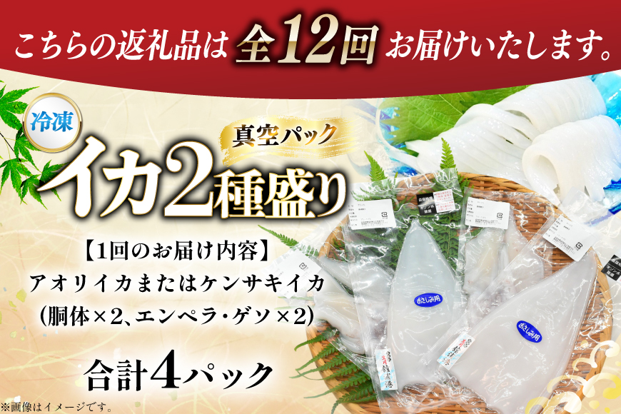 海鮮 魚介 イカ 2種盛り（胴体＋ エンペラ ・ ゲソ ） 12回 定期便 [舘浦漁業 長崎県 平戸市 hr42bgy420384] おつまみ 新鮮 刺身 下足 セット 盛り合わせ 瞬間冷凍 冷凍 コリコリ 直送 冷凍 個包装 真空パック