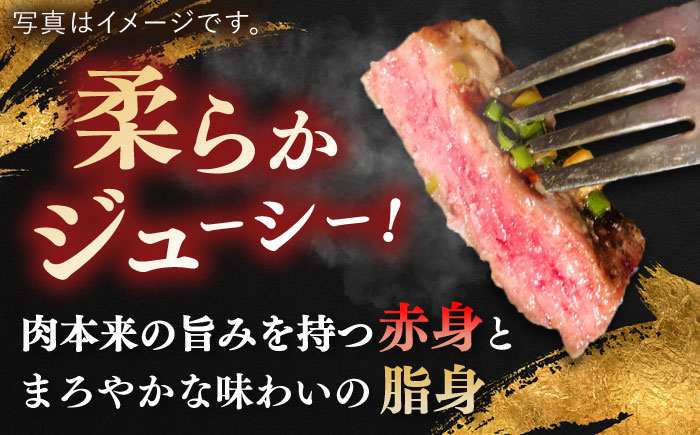 長崎和牛 サーロインステーキ 約600g(200g×3枚)【萩原食肉産業有限会社】[KAD135]/ 長崎 平戸 肉 牛 牛肉 黒毛和牛 和牛 焼肉 ステーキ サーロイン 冷蔵  定期便 